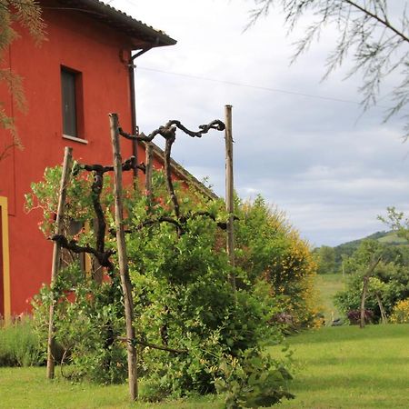 B&B Fox'S Hill Урбания Екстериор снимка